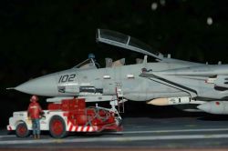 F14D The last Tomcat